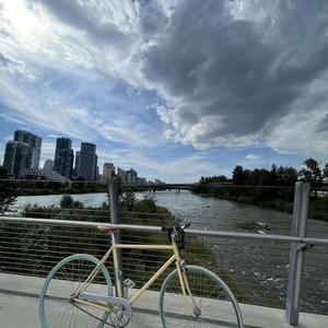 State Bicycle Co. Yellow or Gold