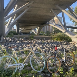 State Bicycle Co. Yellow or Gold