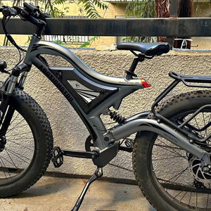 2024 Aostirmotor Power Brings Joy Silver, gray or bare metal and Black