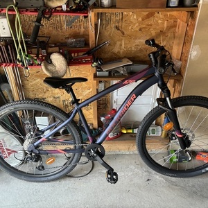 2024 Rock rider 120 Purple