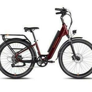 2025 Rad Power Bikes RadCity 5 Plus Purple and Red