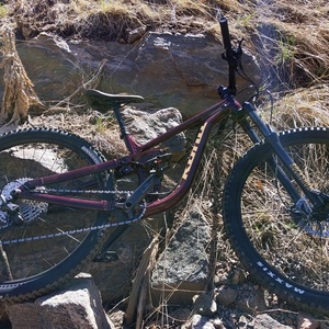 2021 Kona Process 134 Brown and Purple