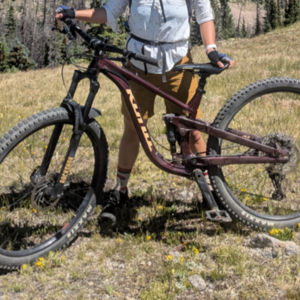 2021 Kona Process 134 Purple and Brown