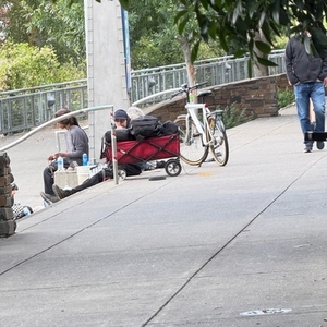 VanMoof Standard Straight Frame Silver, gray or bare metal