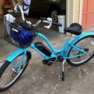 2022 Trek Step through Blue