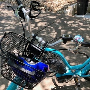 2022 Trek Step through Blue