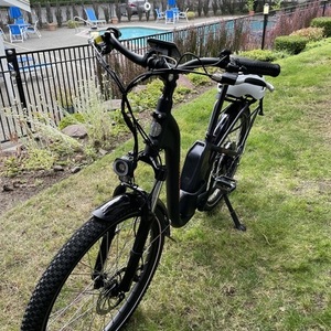 2021 Rad Power Bikes RadCity Step Thru 3