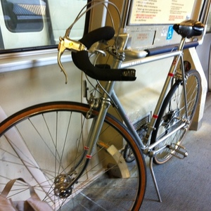 Schwinn Le Tour  Silver or Gray