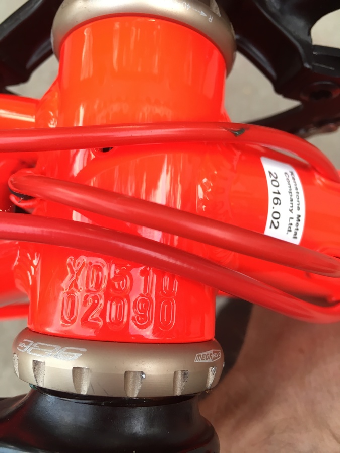 masi cxr comp