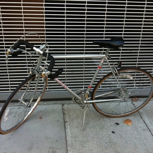 Schwinn Le Tour  Silver or Gray