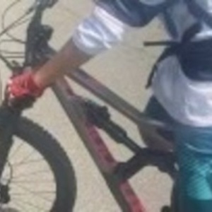 2020 Cannondale medium Silver, gray or bare metal and Pink