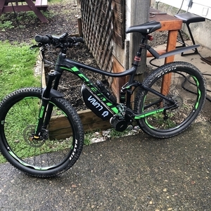 2019 Giant/ Luna Cycles Stance 2 Black and Green