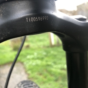 2019 Giant/ Luna Cycles Stance 2 Black and Green