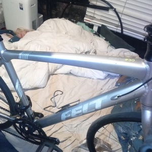 2025 Felt Verza speed 30 Silver, gray or bare metal and Green