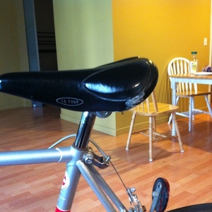 Schwinn Le Tour  Silver or Gray