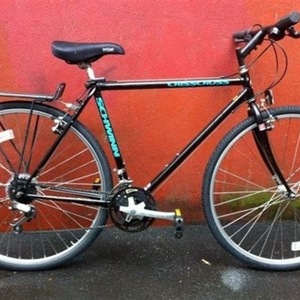 Schwinn Criss Cross Black and Blue