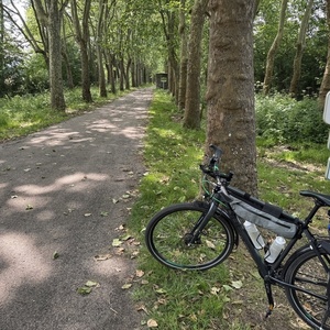 2016 Cube Travel EXC Silver, gray or bare metal, Black, and Green