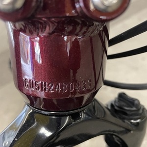 2021 Rad Power Bikes Rad city 5 plus Red