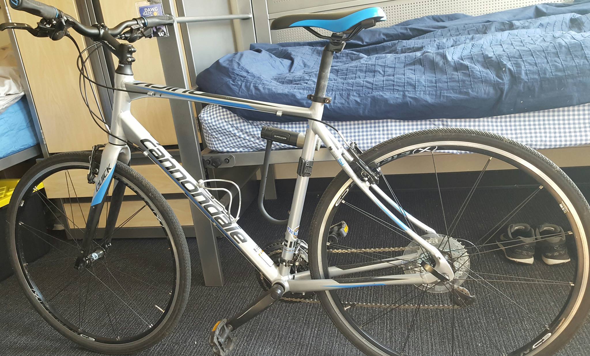 cannondale quick silver