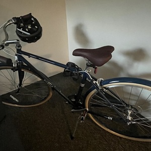 2025 PUBLIC bikes V7 Blue