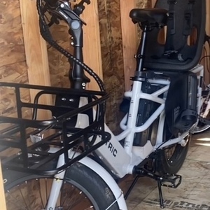 2022 Lectric eBikes XPedition White