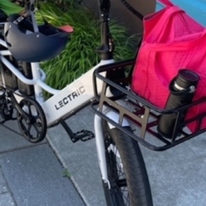 2022 Lectric eBikes XPedition White