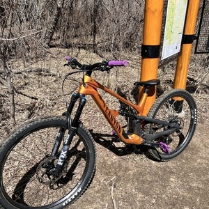 2024 Canyon bicycles Spectral CF 8 CLLCTV Orange