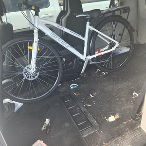 Infinity Cycle Works Boss 3 disc