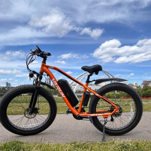 2025 VARUN MOUNTAIN BIKE