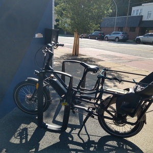 2021 Rad Power Bikes Radwagon Version 4 cargo bike rear