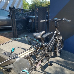 2021 Rad Power Bikes Radwagon Version 4 cargo bike rear Black