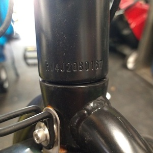 2021 Rad Power Bikes Radwagon Version 4 cargo bike rear Black