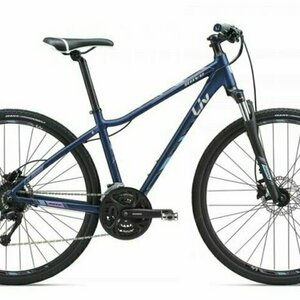 2018 Giant Rove 2 Disc