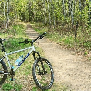 2004 KHS Bicycles Team Softail Silver, gray or bare metal and Blue