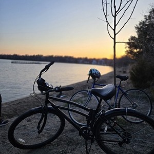 2022 Schwinn Hammersley 29" cruiser bike Black