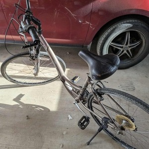 2007 Trek 7300 WSD Brown