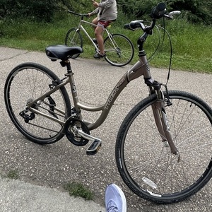 2007 Trek 7300 WSD Brown