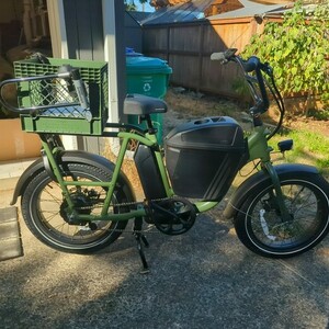 2025 Rad Power Bikes RadRunner Green