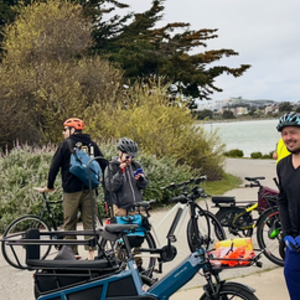 2025 Riese & Müller Riese & Muller Multitinker vario, 625... Blue and Black