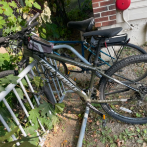 2017 Cannondale Catalyst Green