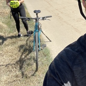 2021 Trek FX 2 WSD DISC Blue