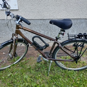 Giant Cypress LX Brown