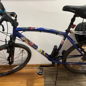 2021 Recreation Recreation Blue