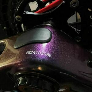 2025 Custom Carbonda Shimano 105 Di2 2x12sp Carbonda CFR505-SL 58cm Green and Purple