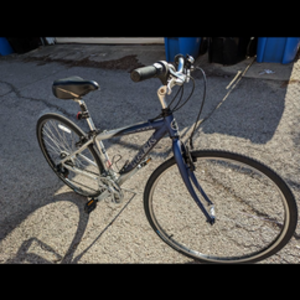 Trek multitrack Blue