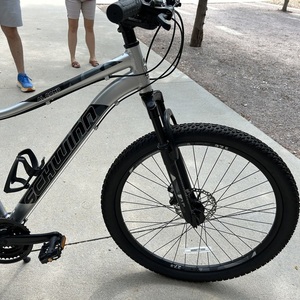 2019 Schwinn Pacific Cycle S8112WM Silver, gray or bare metal