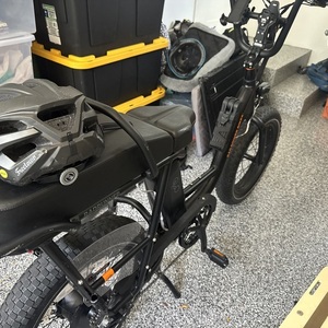 2024 Rad Power Bikes Radrunner Black