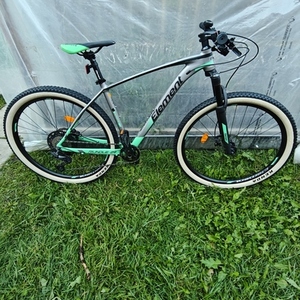 2025 Element Rundle 29 Silver, gray or bare metal