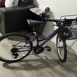 2016 Roadmaster R3013WMH cargo bike