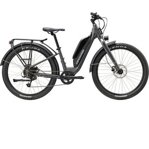 Cannondale Adventure 2